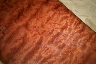 Bubinga veneer 16 @ 13'' x 34'' [0862]