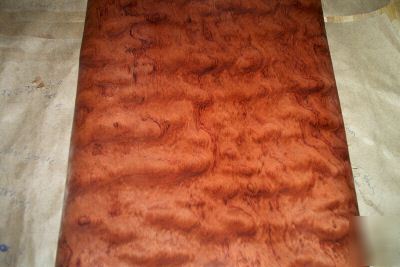 Bubinga veneer 16 @ 13'' x 34'' [0862]