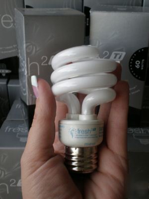 Cfl - compact fluorescent lightbulbs